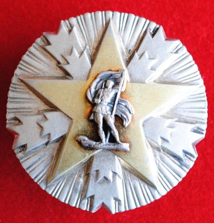 Yugoslavia Order of National Merit (Orden Zasluge za Narod), III class