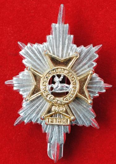 The Worcestershire and Sherwood Foresters Regiment 